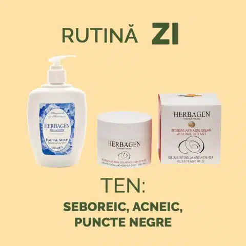 Rutină ZI pentru ten seboreic, acneic, puncte negre