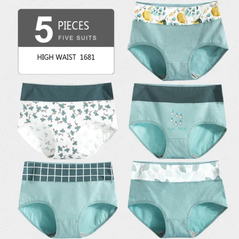 Women's Cotton high waist panties